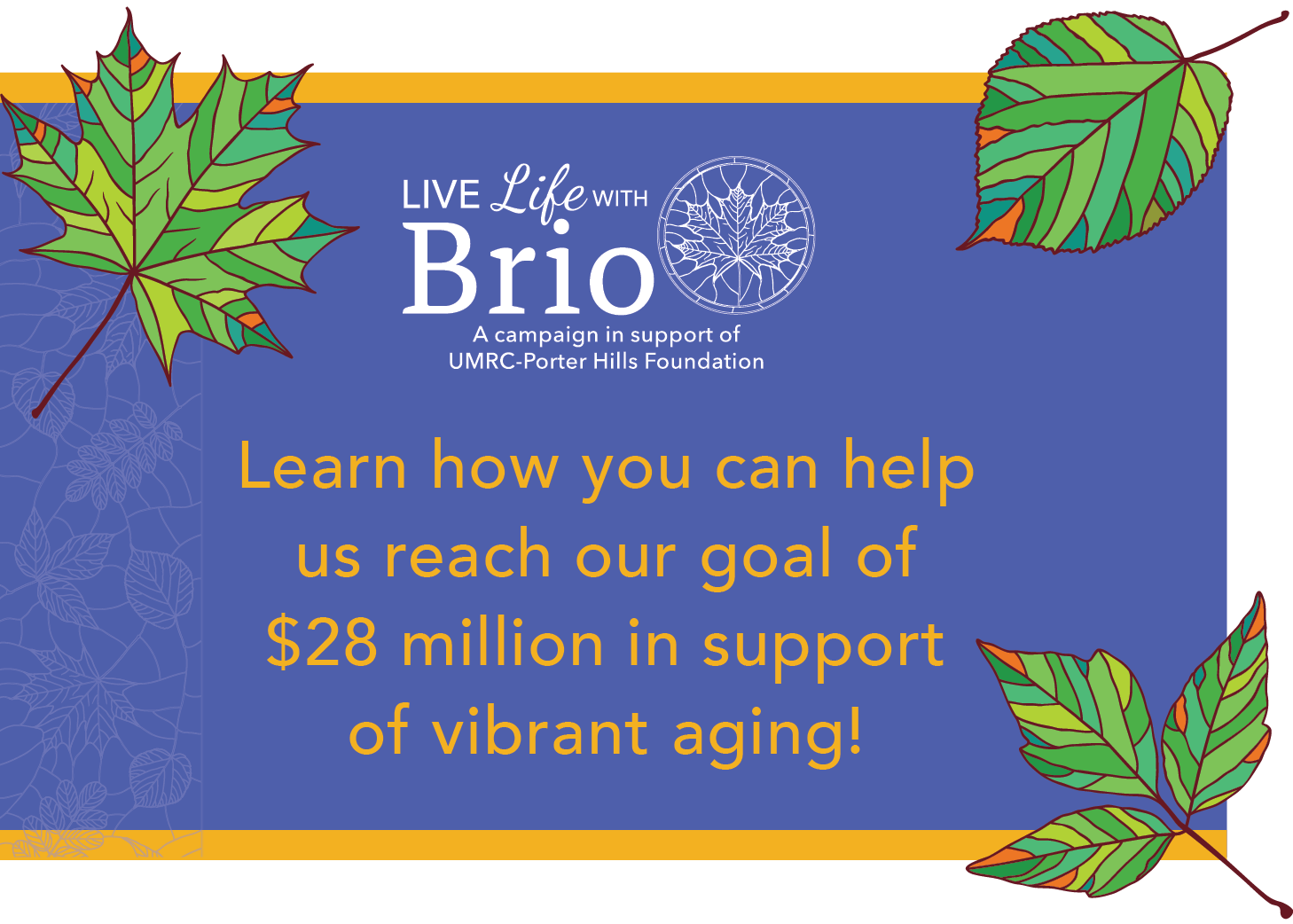 A colorful campaign banner promoting support for UMRC-Porter Hills Foundation, aiming for $28 million for vibrant aging.